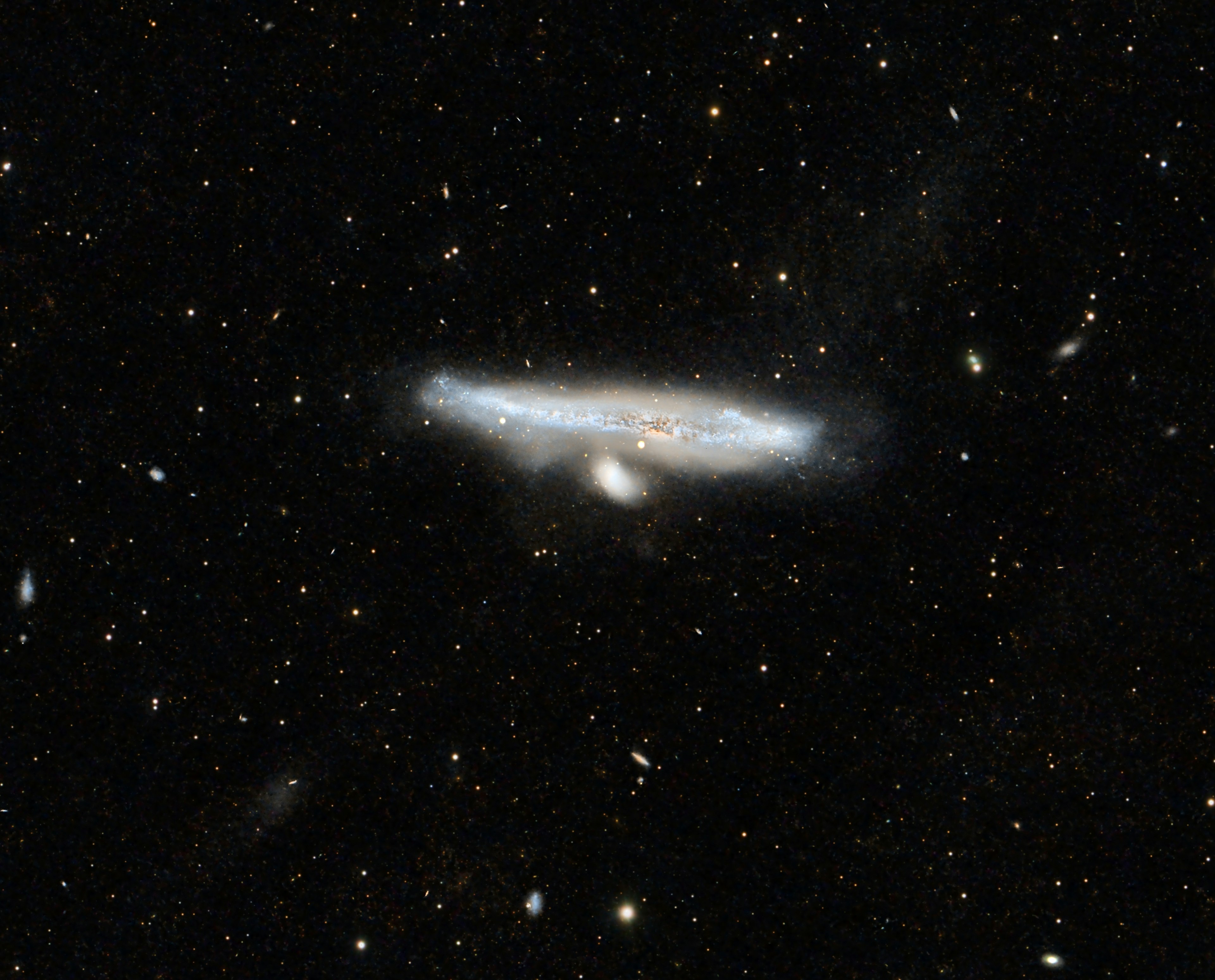 Whale Galaxy