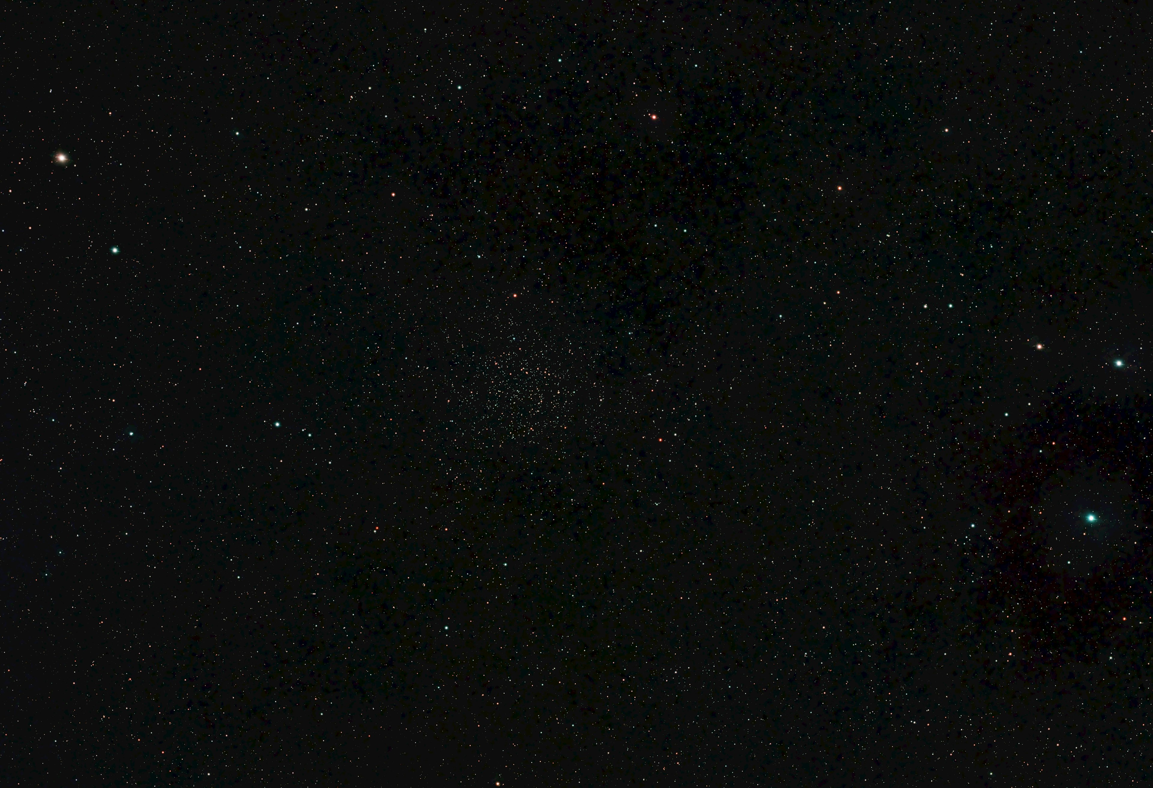 Caroline's Rose Cluster