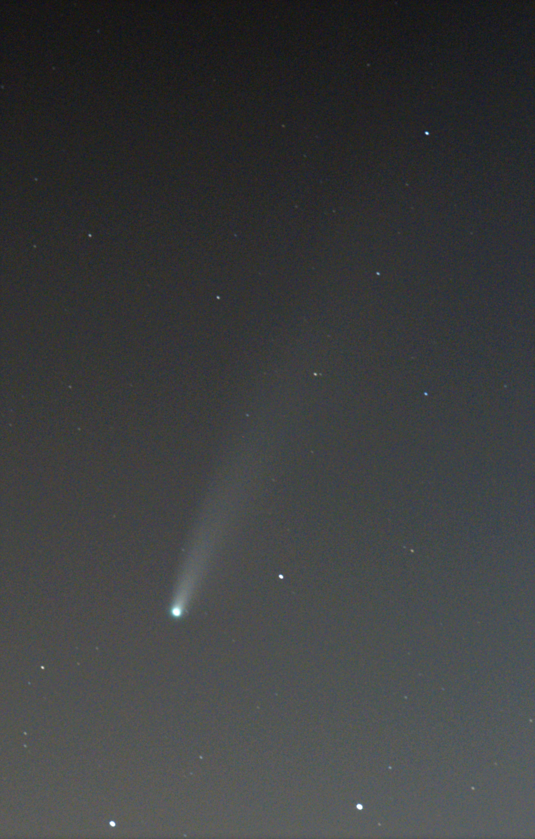 Moving  Neowise Comet
